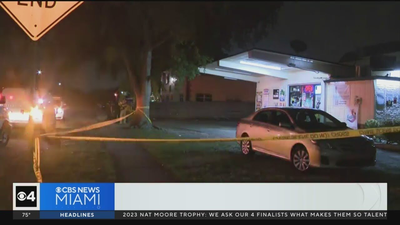 Pembroke Pines PD: Juvenile shot food store clerk during attempted robbery