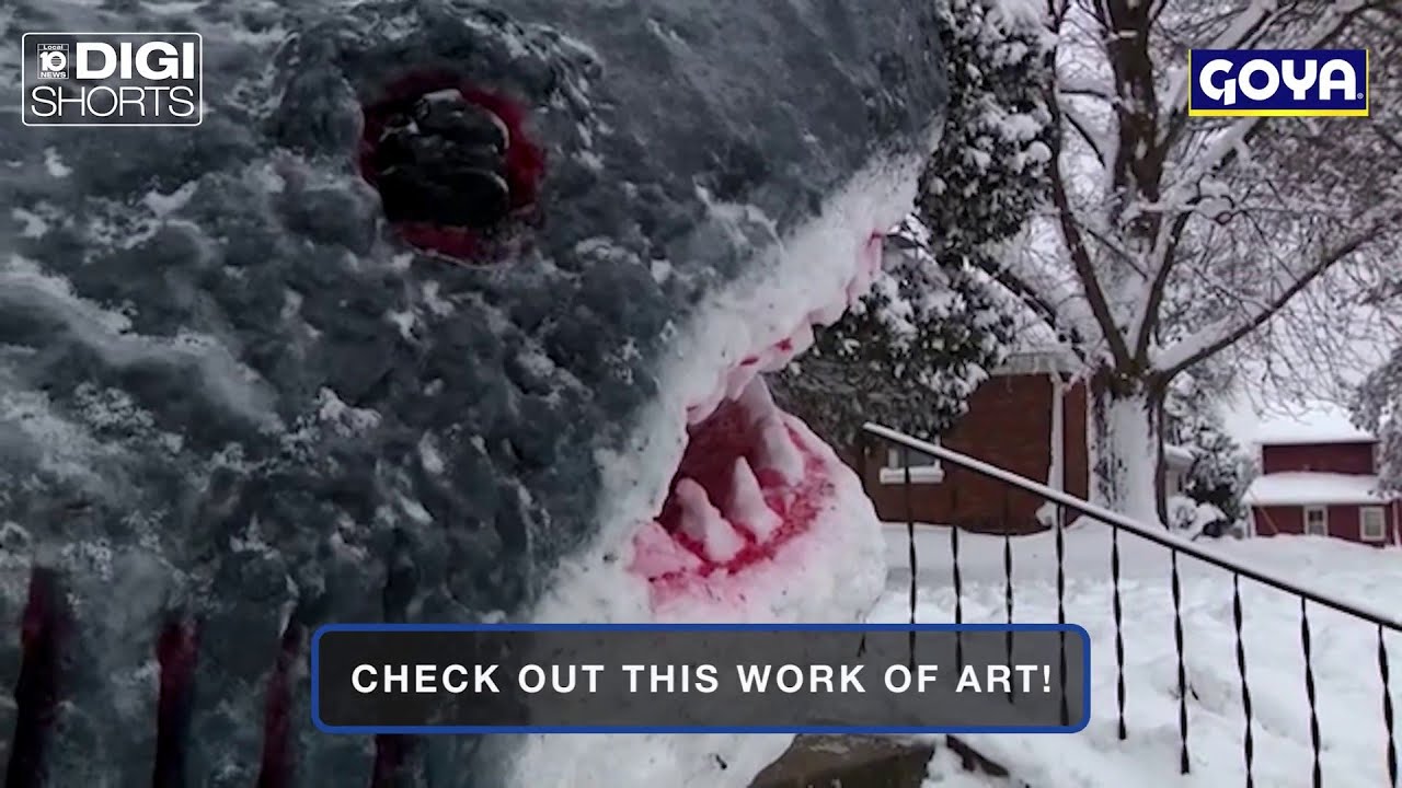 Iowa artist creates massive ‘snow shark’