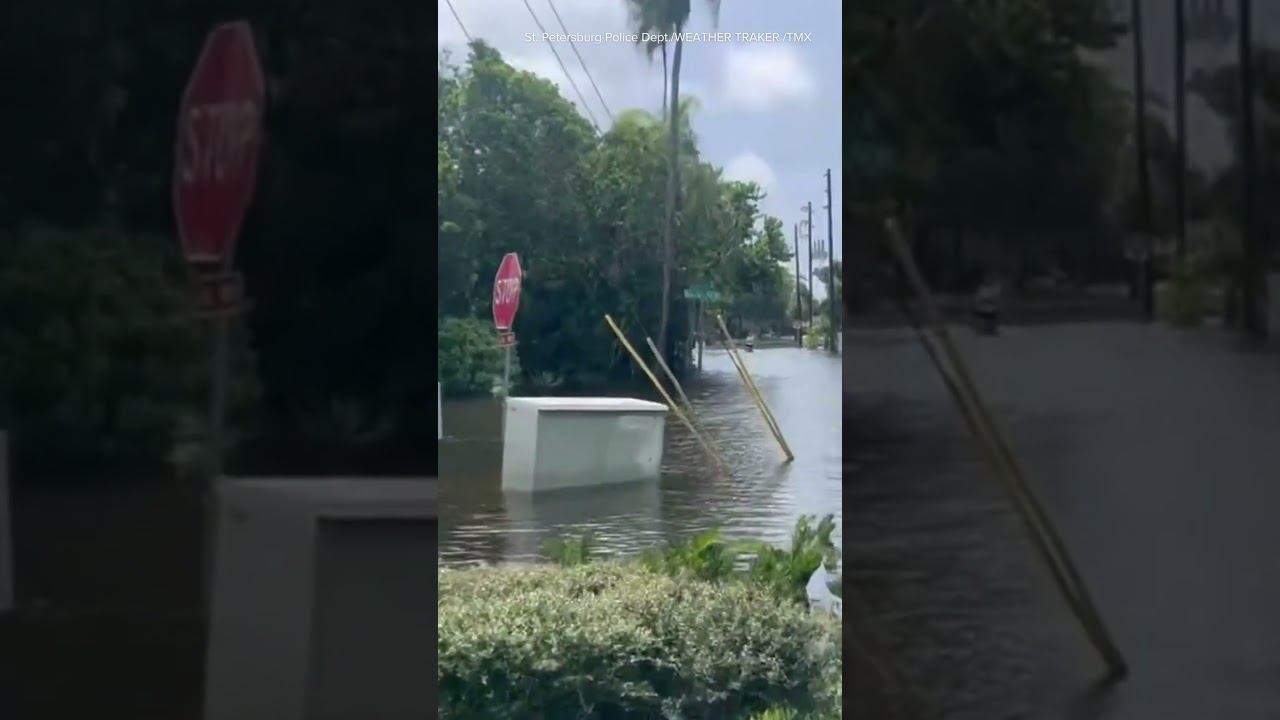 People walk through Hurricane Idalia floodwaters in St. Petersburg, Florida