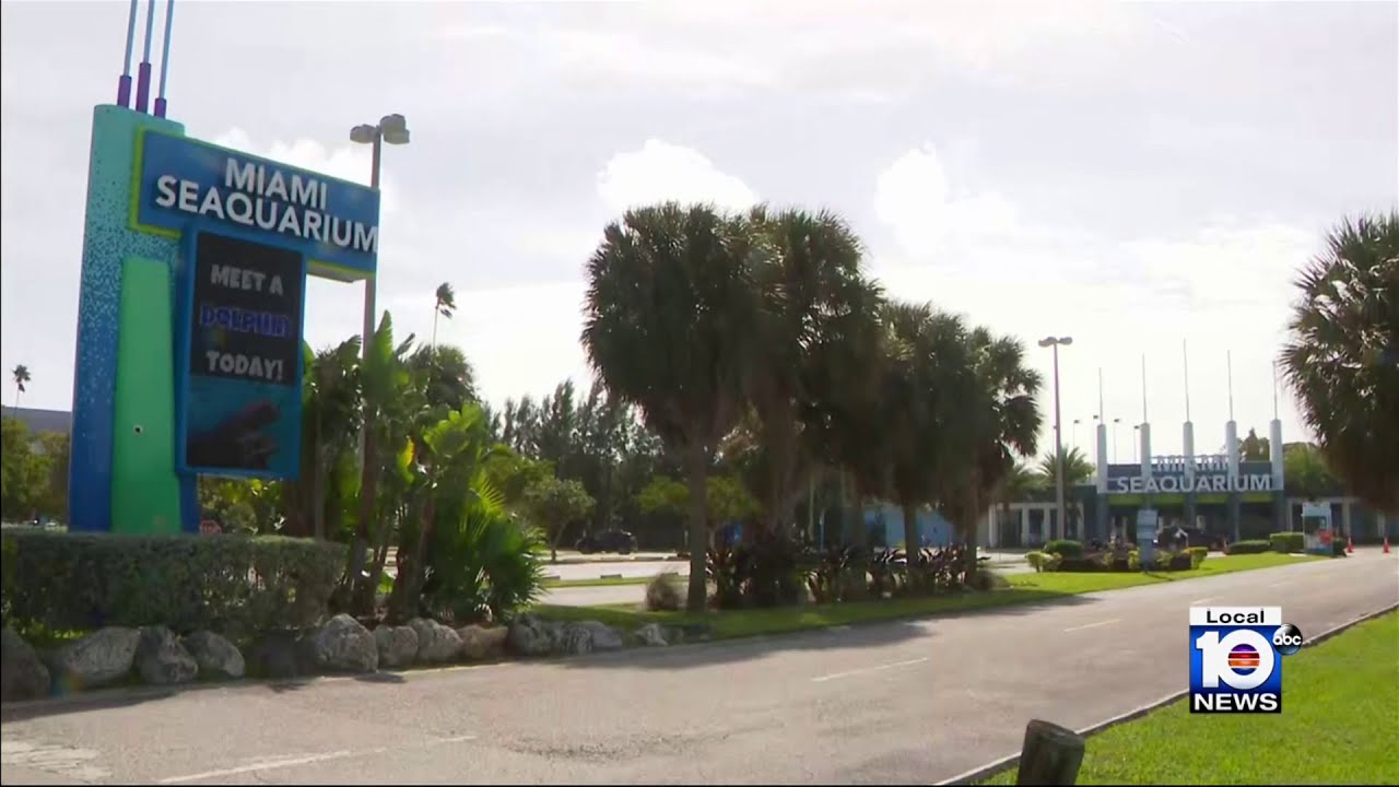 Future of Miami Seaquarium remains unclear after mayor’s letter seeking lease termination