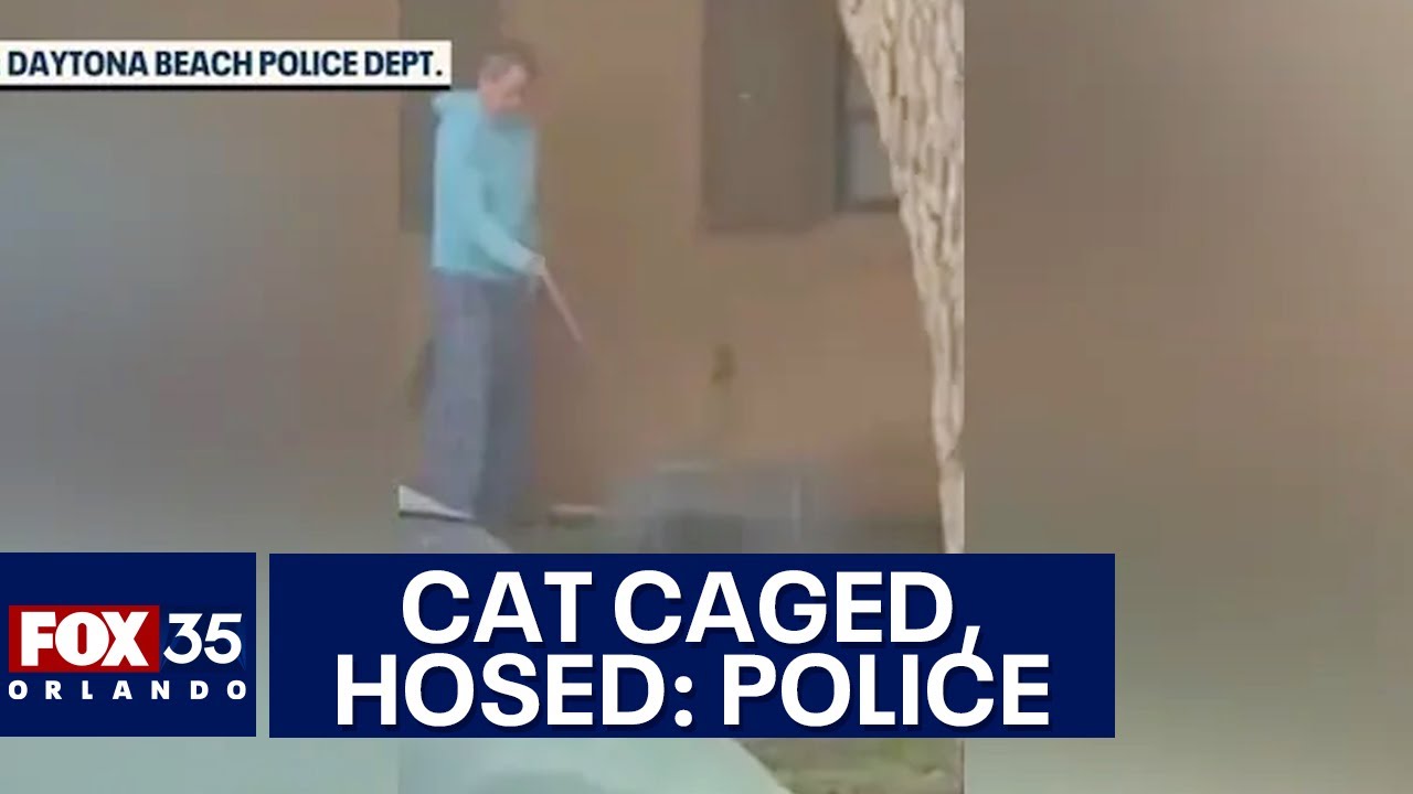 Daytona Beach man trapped cat in cage, sprayed it with high-pressure hose