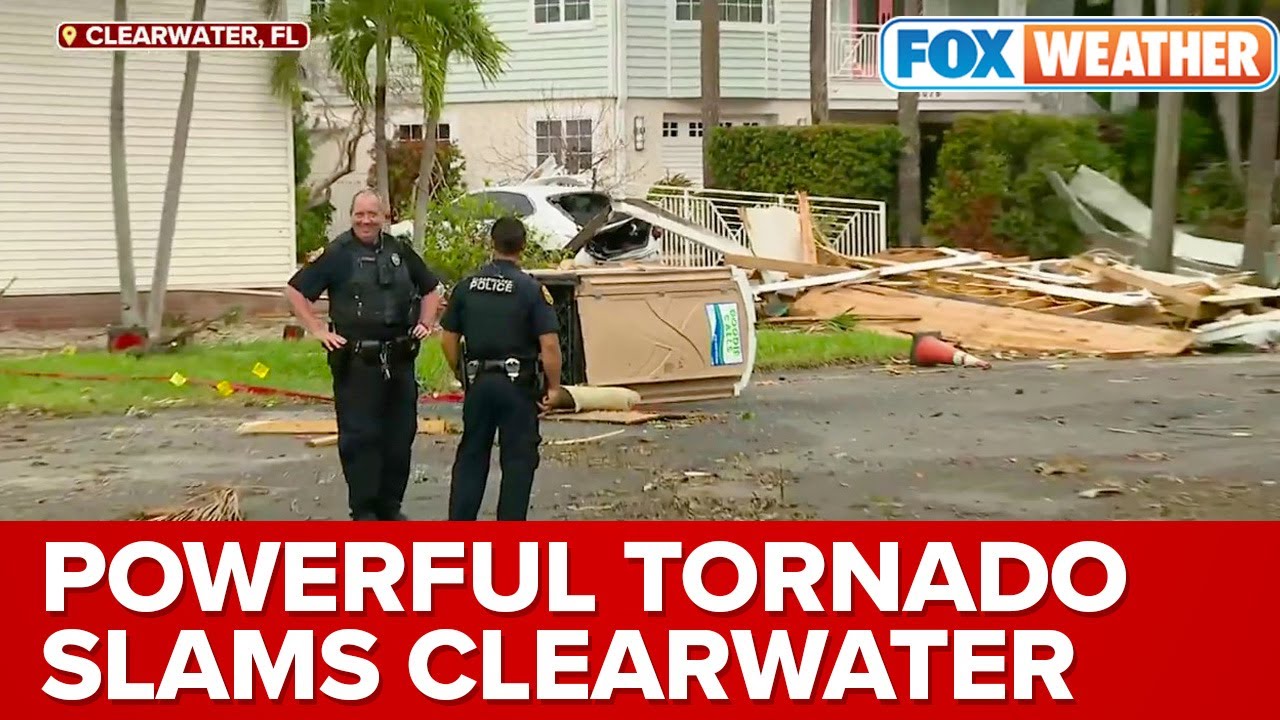 Trees Uprooted, Homes Uninhabitable After Tornado Strikes Clearwater, Florida