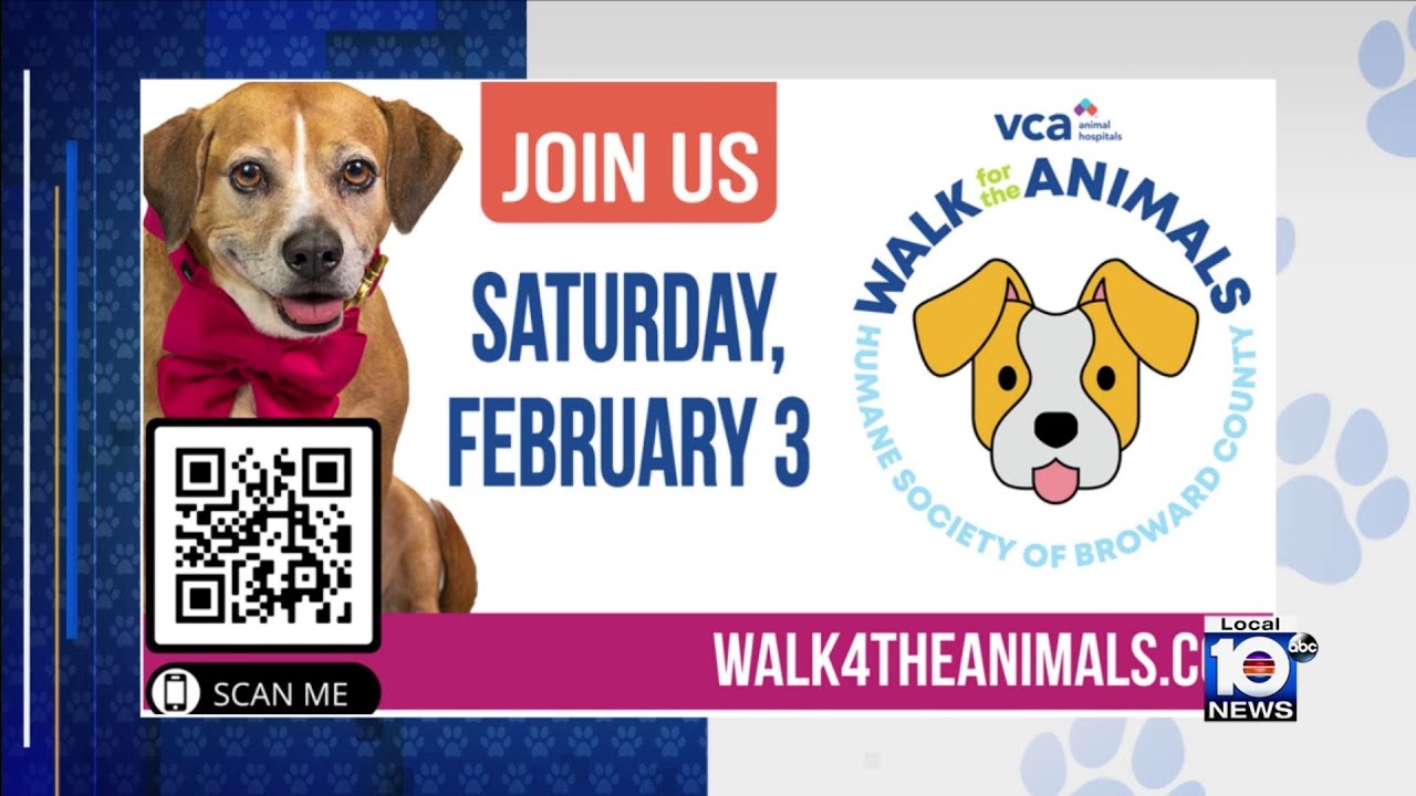 HSBC ready to find homes for friends at annual Walk for the Animals event