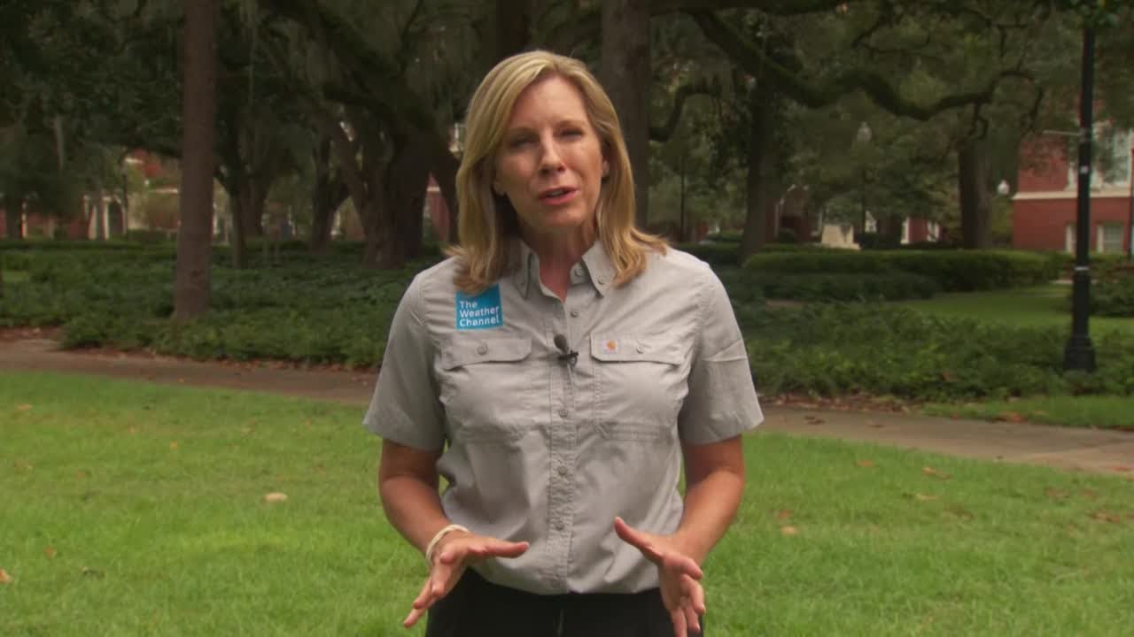 The Weather Channel: Jacqui Jeras on Tropical Storm Idalia in Gainesville, FL