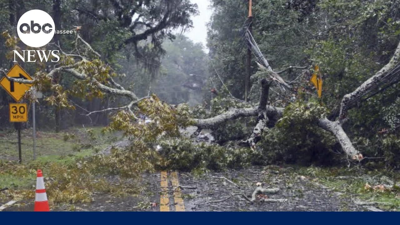 Tallahassee mayor on Idalia: Storm damage ‘could've been much worse’ | ABCNL