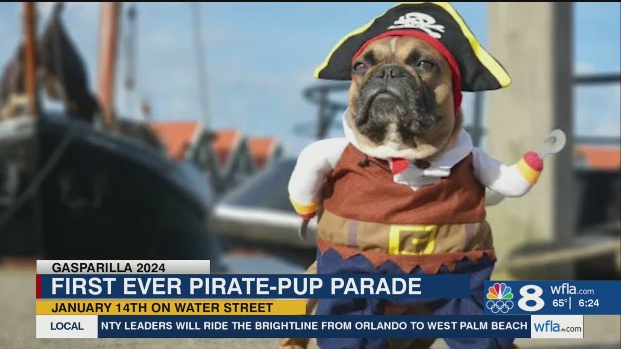 Pirate Pup Parade set to invade downtown Tampa