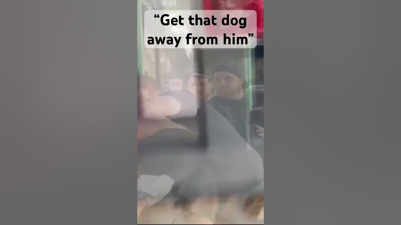Good Samaritans￼ jump into action to save a dog as a man was beating it with a chain.