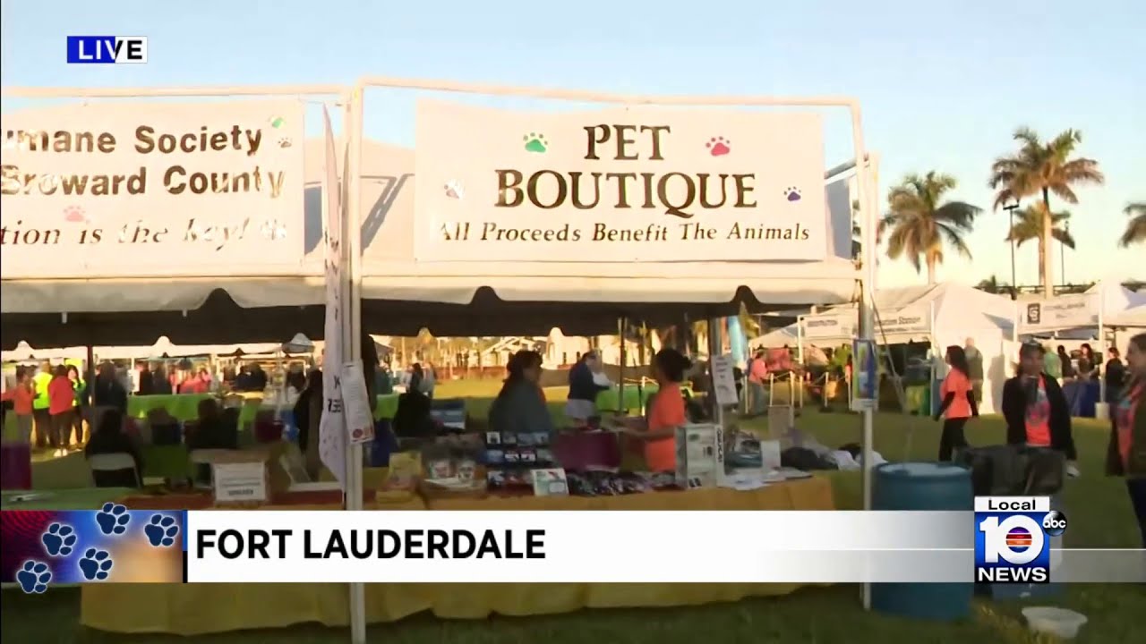 HSBC hopes South Florida community will come together to raise money for furry friends