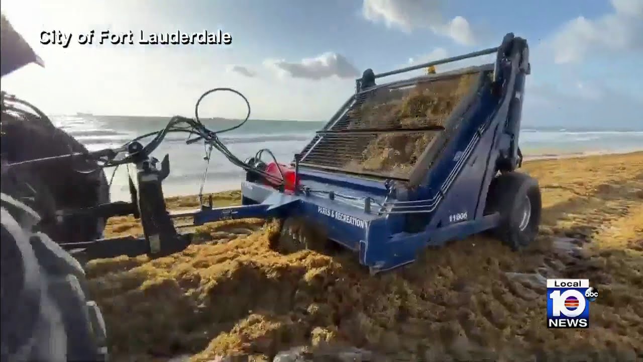 Fort Lauderdale saves over $300K turning smelly seaweed into soil