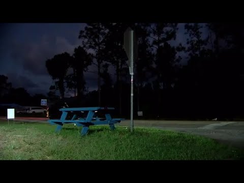 Bench disappears from Lehigh Acres school bus stop
