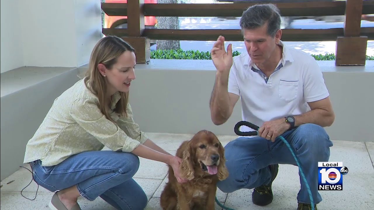 Fort Lauderdale’s Animal Cancer Care Clinic gives pets a second chance in life