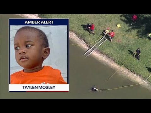 Missing St. Pete 2-year-old: live update from police