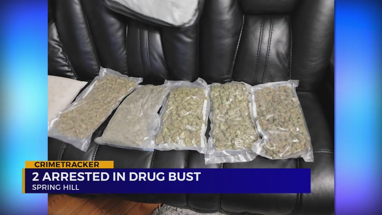 Spring Hill drug bust leads to arrests