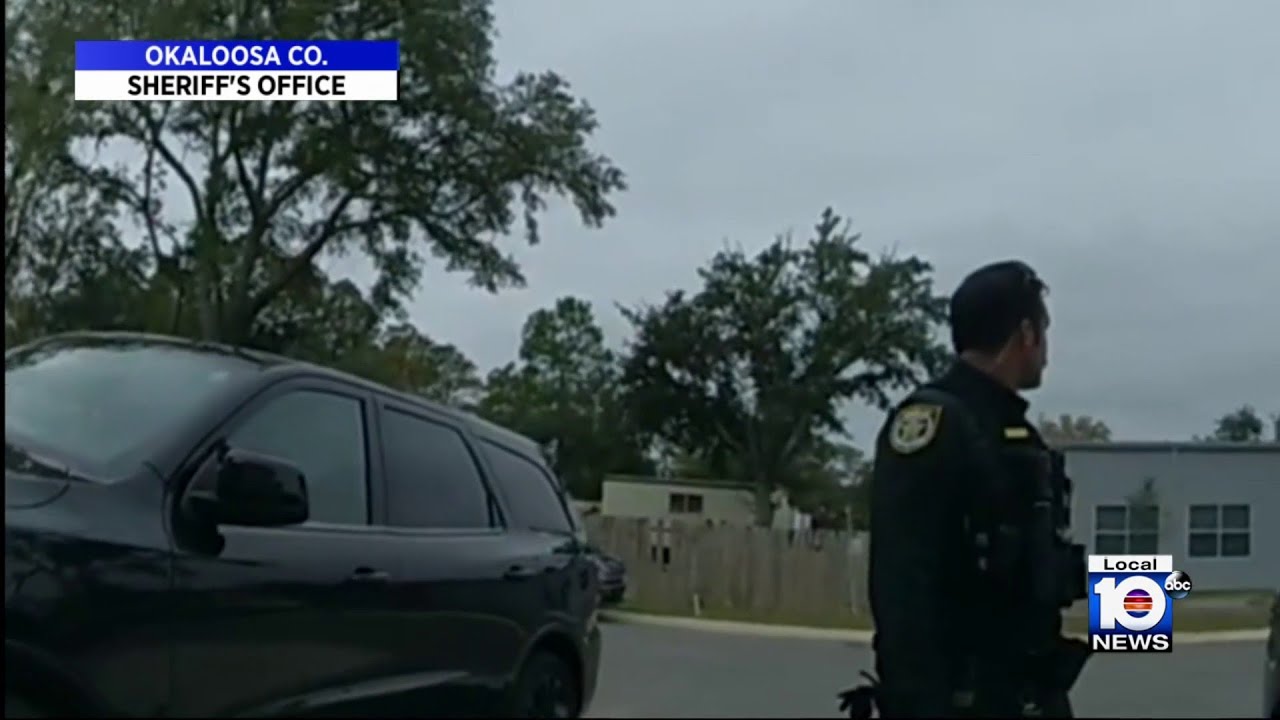 Florida deputy mistakes falling acorn for gunshot
