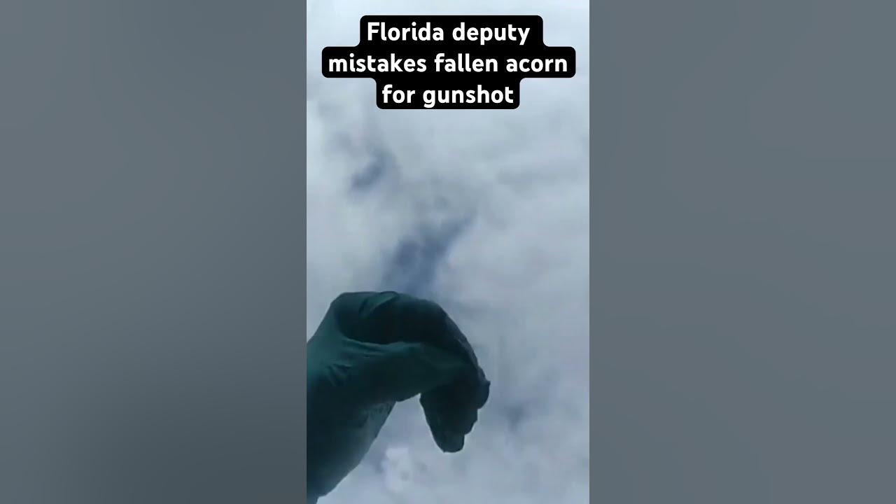 Florida deputies fired rounds after deputy mistook a fallen acorn for a gunshot #caughtoncamera