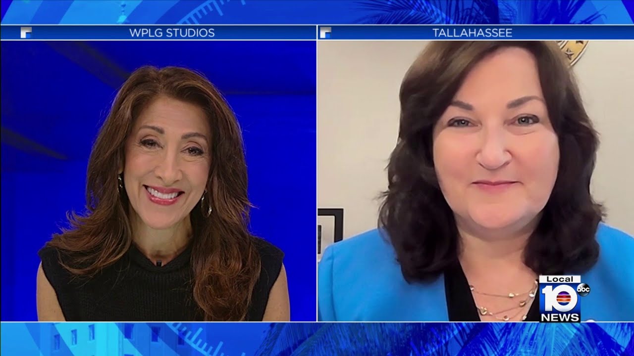 State Rep. Christine Hunchofsky discusses push for gun safety on TWISF