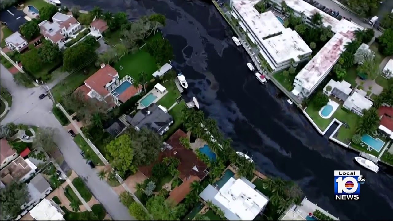 Authorities investigating oil spill in Fort Lauderdale