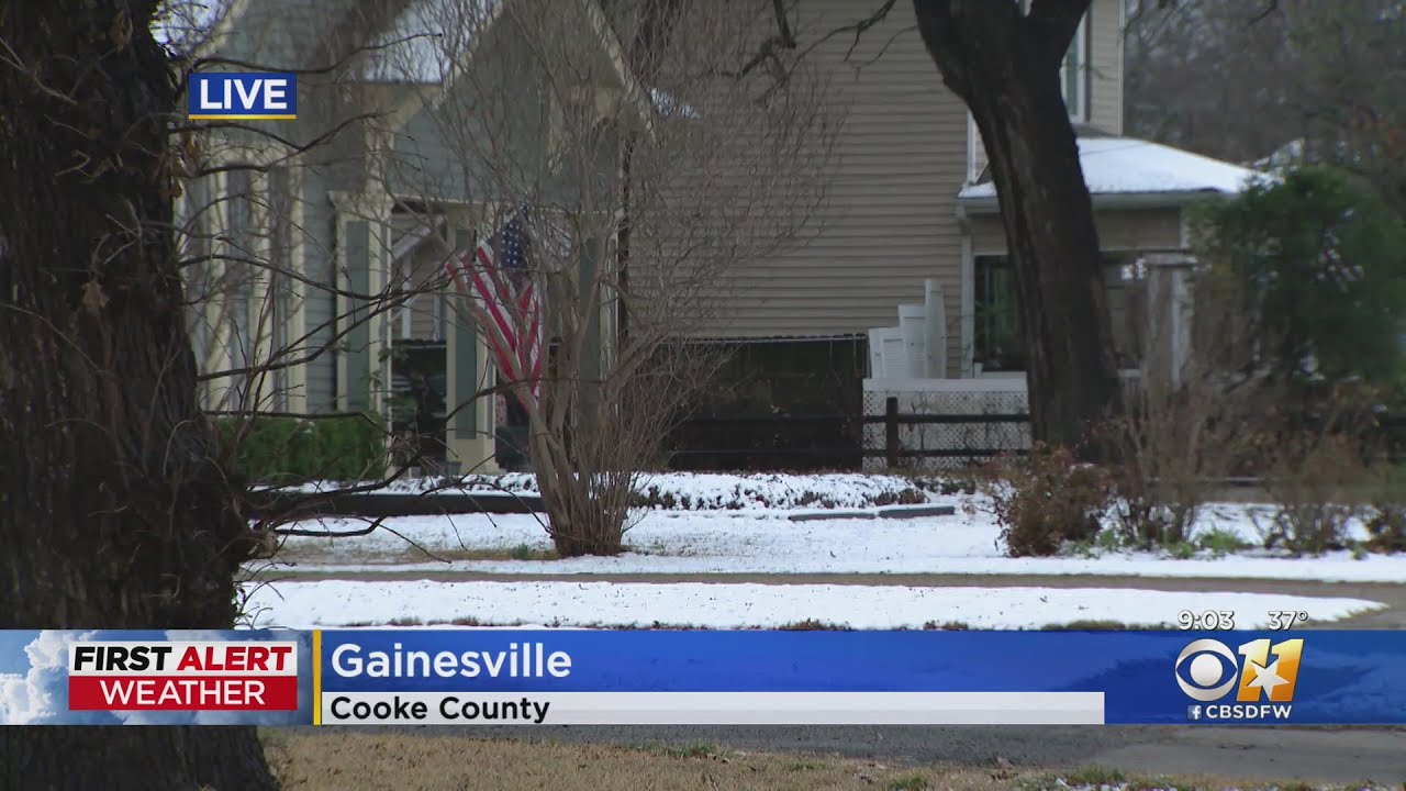 Gainesville residents wake up to fresh blanket of snow