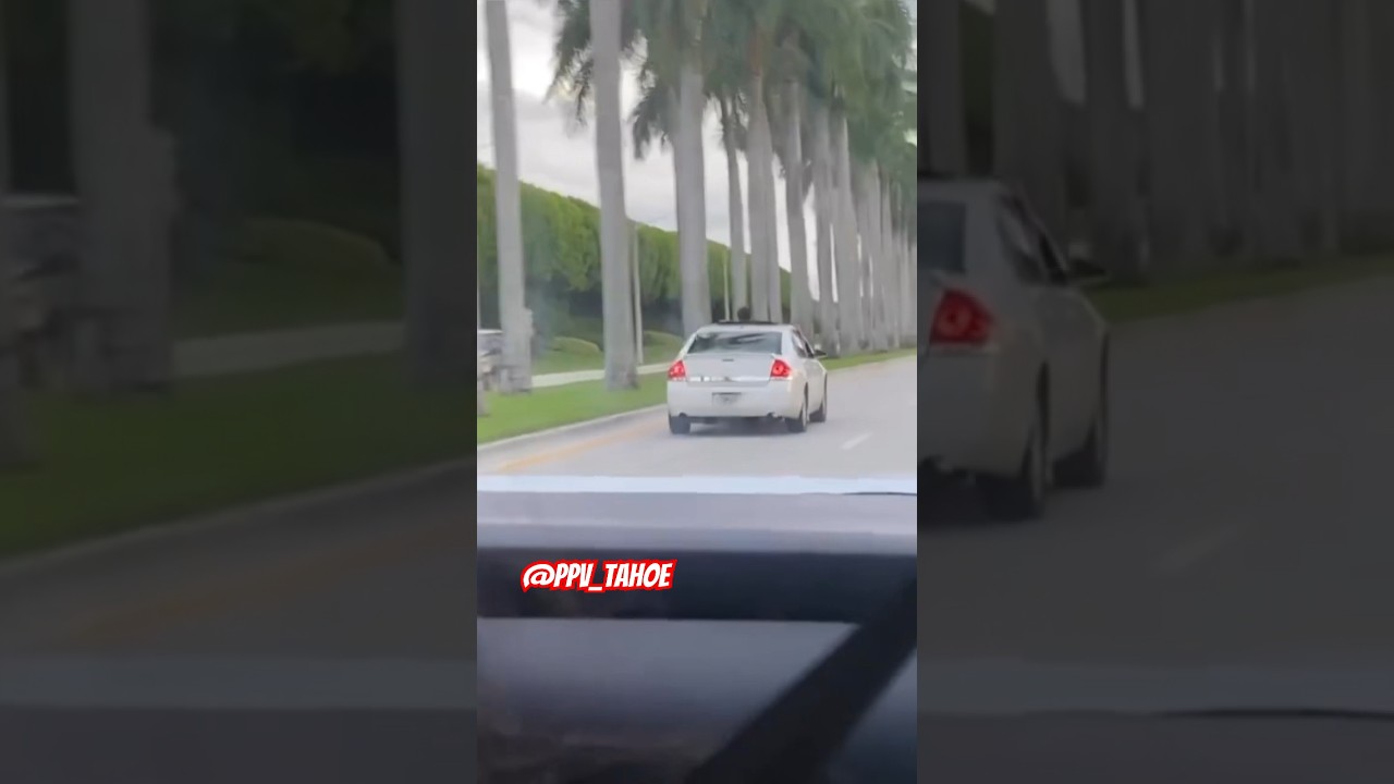 Video captured the moment a Chevrolet crashes into palm tree in South Florida