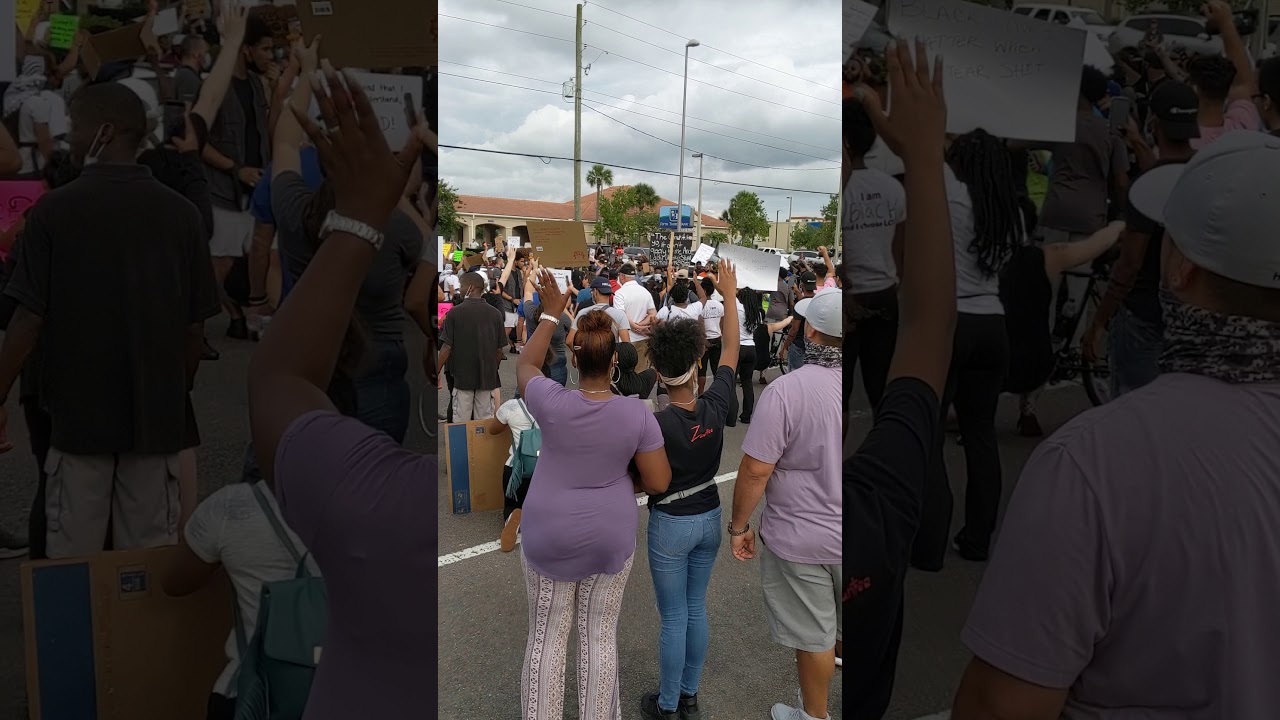 Riverview Florida Protest 301 and Big Bend Pt. 2