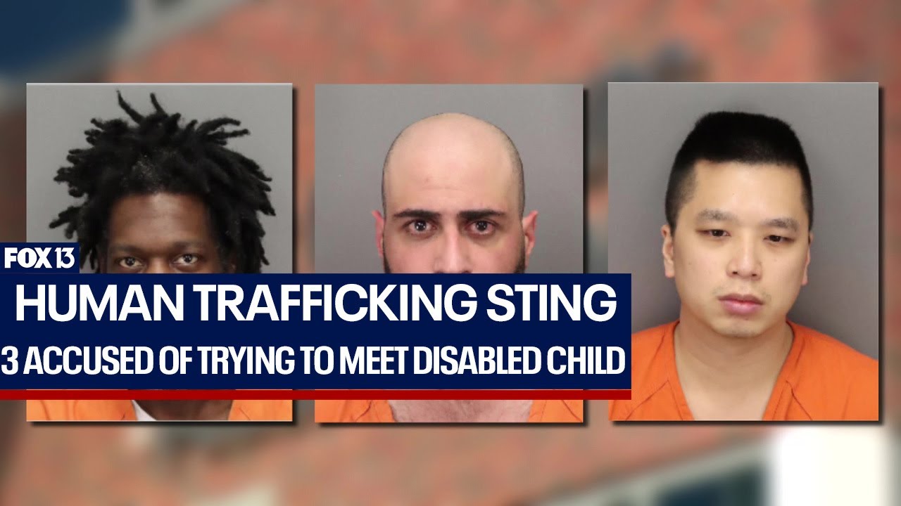 3 Florida men accused of trying to meet a disabled child in a human trafficking sting