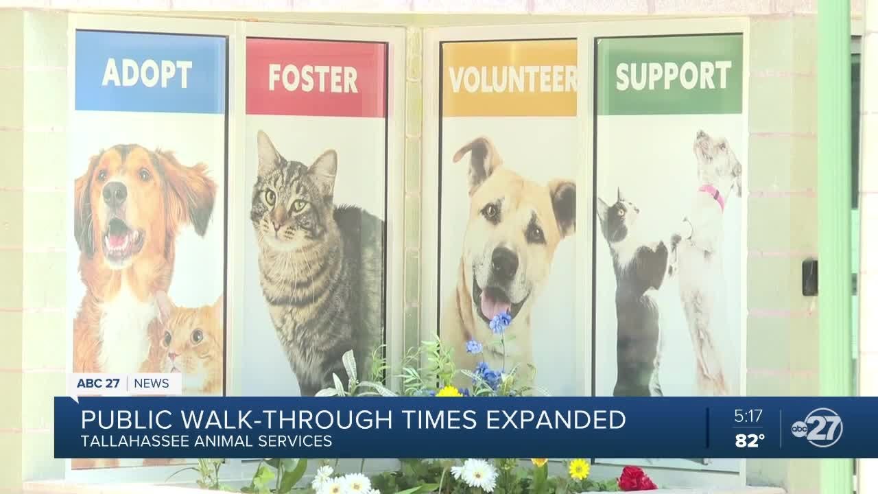 Tallahassee Animal Services walk-in service resumes