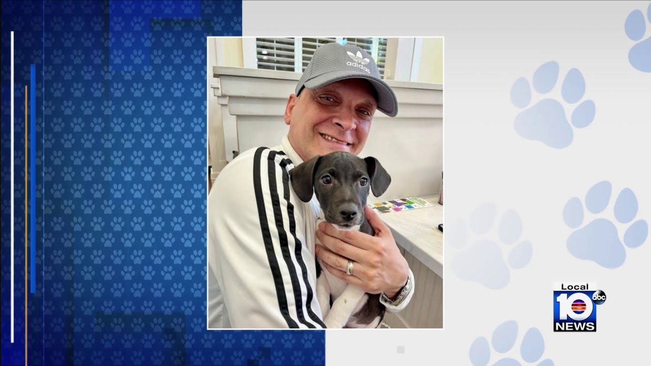 Local 10 auto engineer adopts puppy featured by Humane Society of Broward County