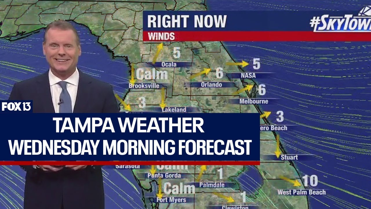 Tampa weather | Wednesday morning forecast