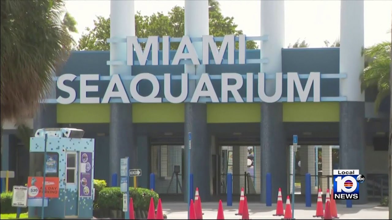 Head veterinarian at Miami Seaquarium resigning in latest blow to troubled facility