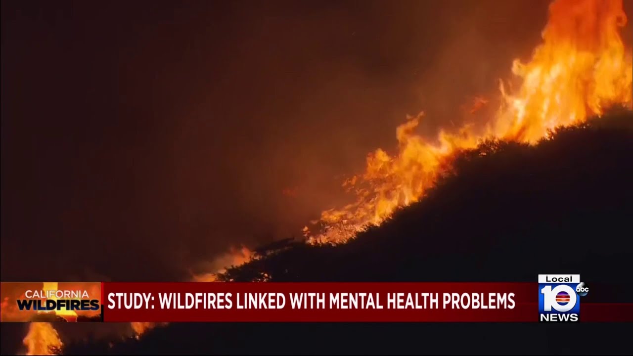 Wildfires affect mental health, new study shows