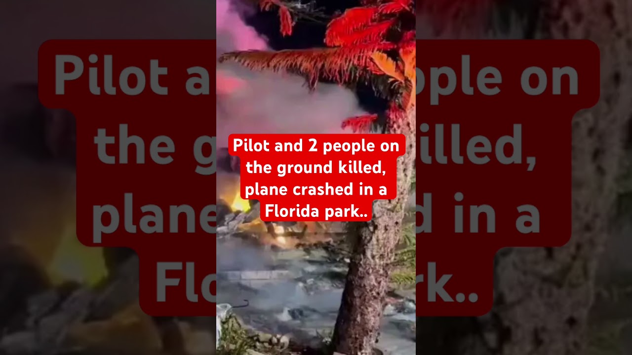 Pilot and 2 people on the ground killed, plane crashed in a Florida park..