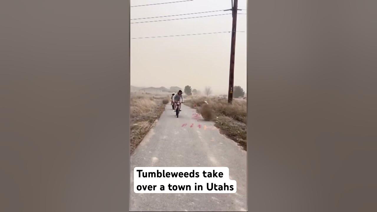 Tumbleweeds take over a town in Utahs