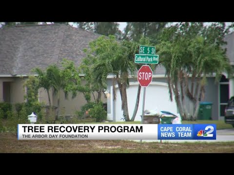 Trees planted in Cape Coral to restore loss from Hurricane Ian