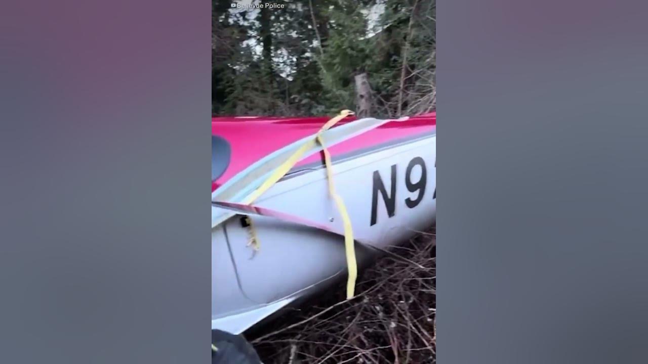 A compact aircraft equipped with a parachute collided with a neighborhood in Bellevue, Washington.