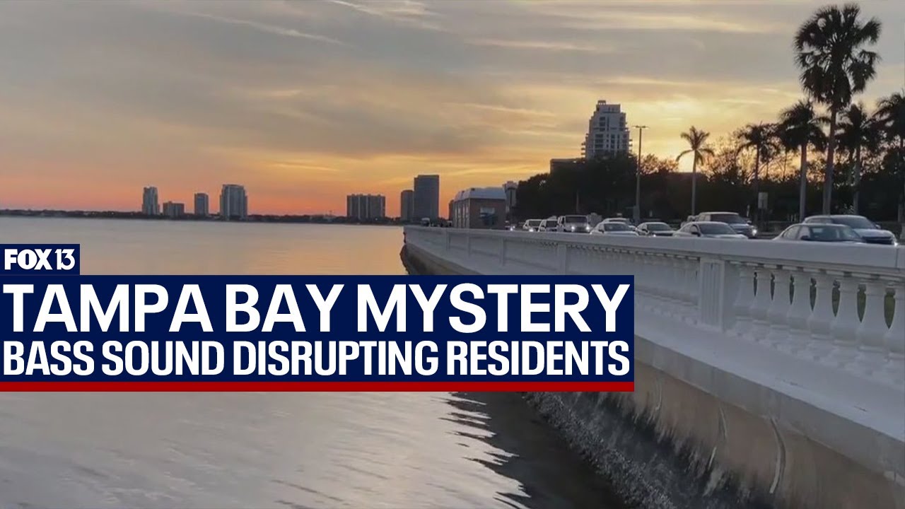 What's the mysterious sound in Tampa Bay?