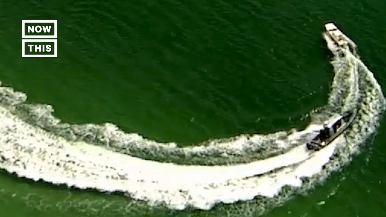 Marine Authorities Stop Runaway Boat in St. Pete, Florida