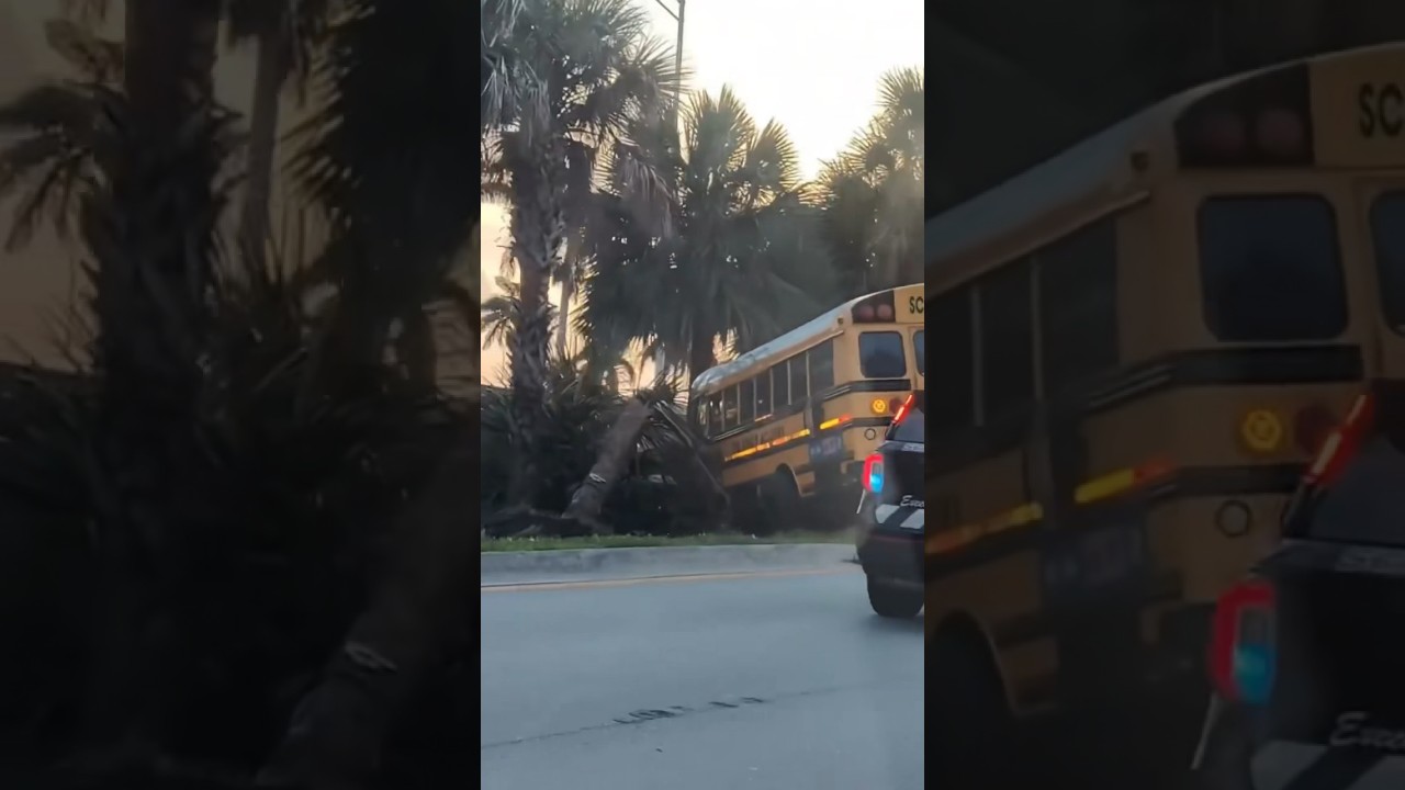 School bus crash into median on Southern Blvd in WPB FL | #shorts