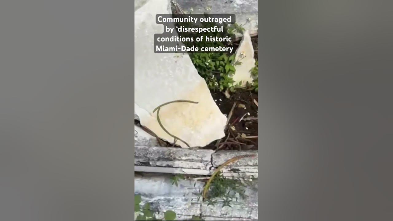 Concerns have been raised about the conditions of a historically Black cemetery in #miamidade.