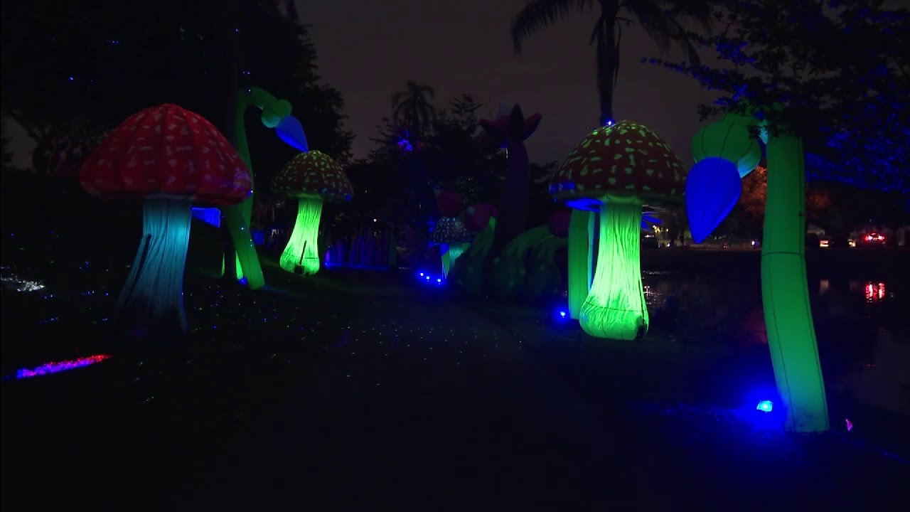 Unique holiday light event to open in Pembroke Pines