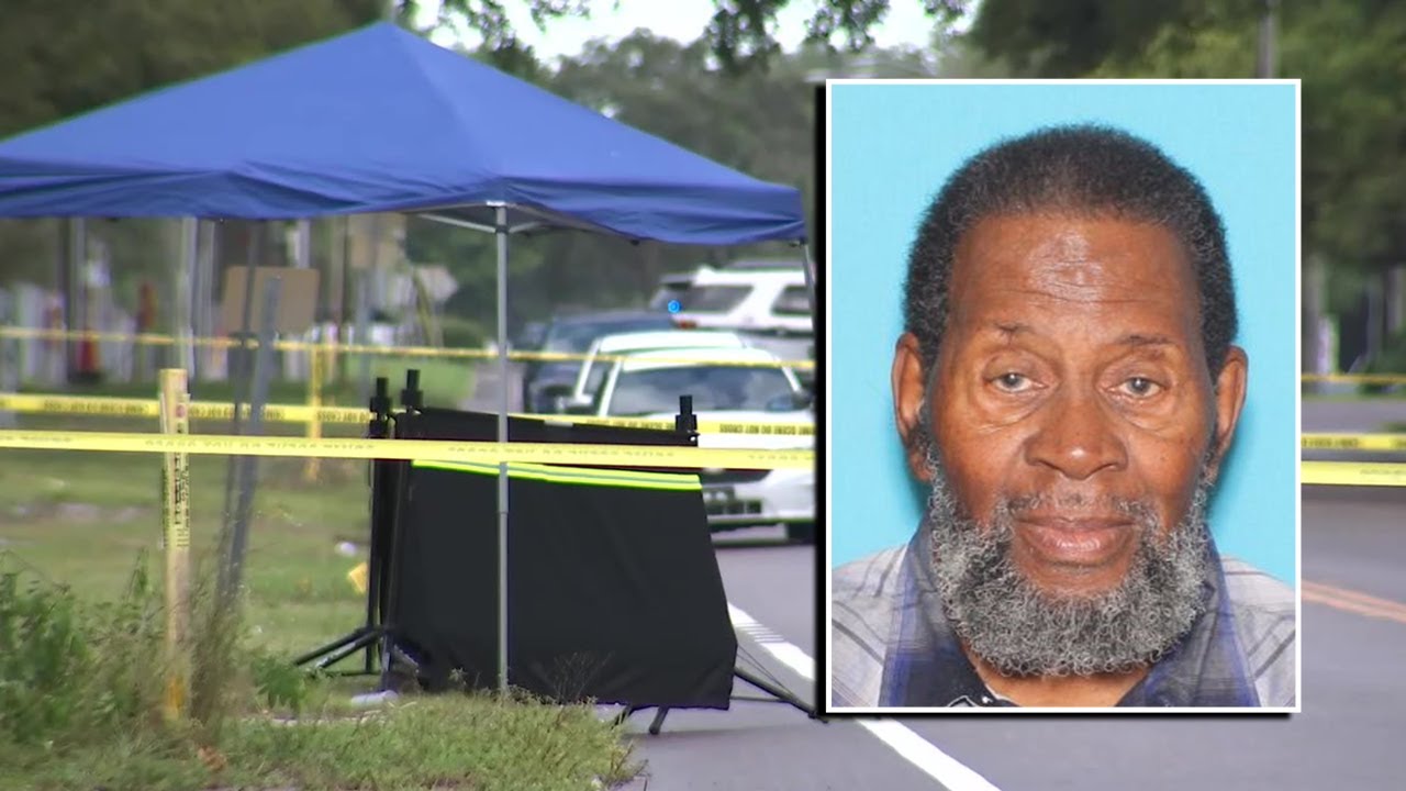 Severed head found by jogger in South St. Pete identified as 80-year-old man