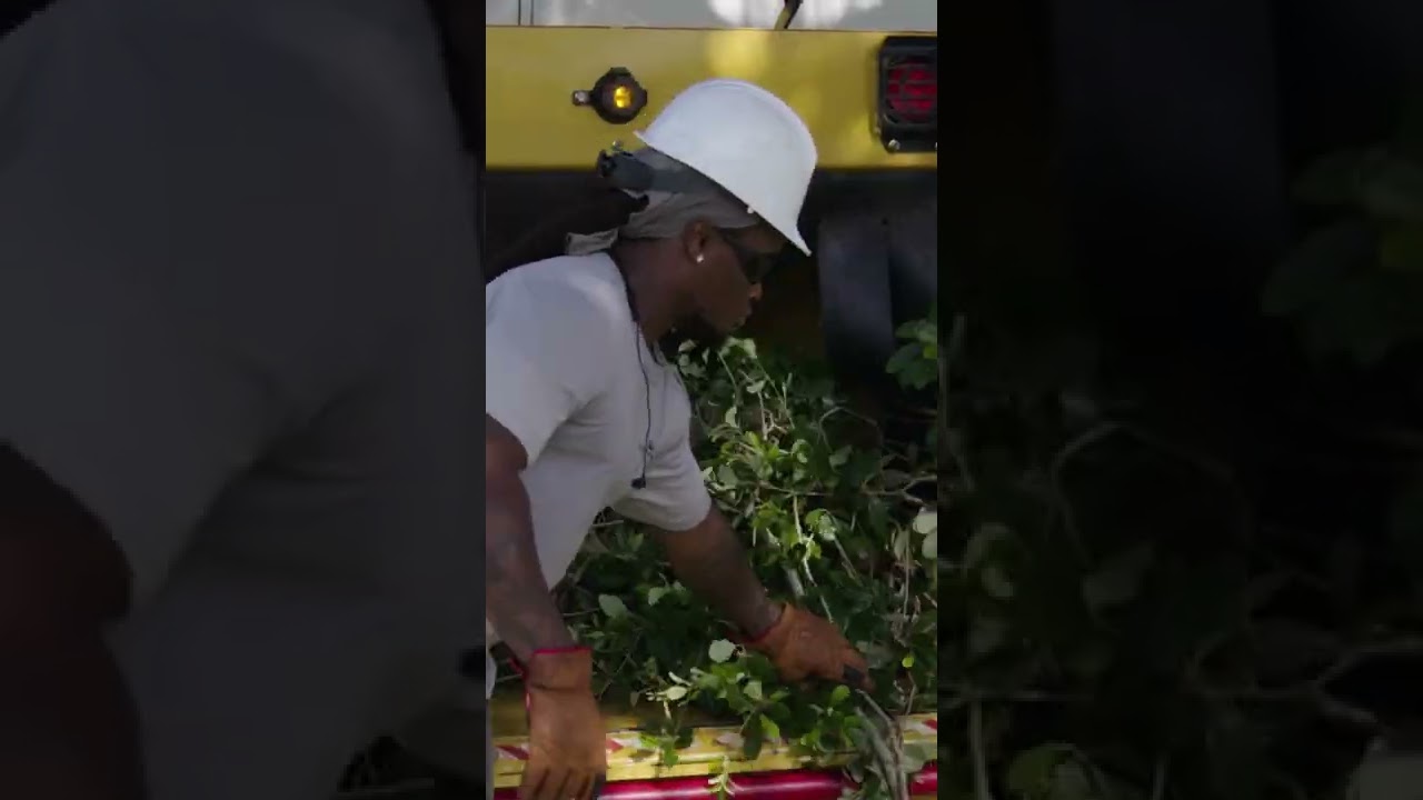 Coral Springs Parks and Recreation Tree Trimming