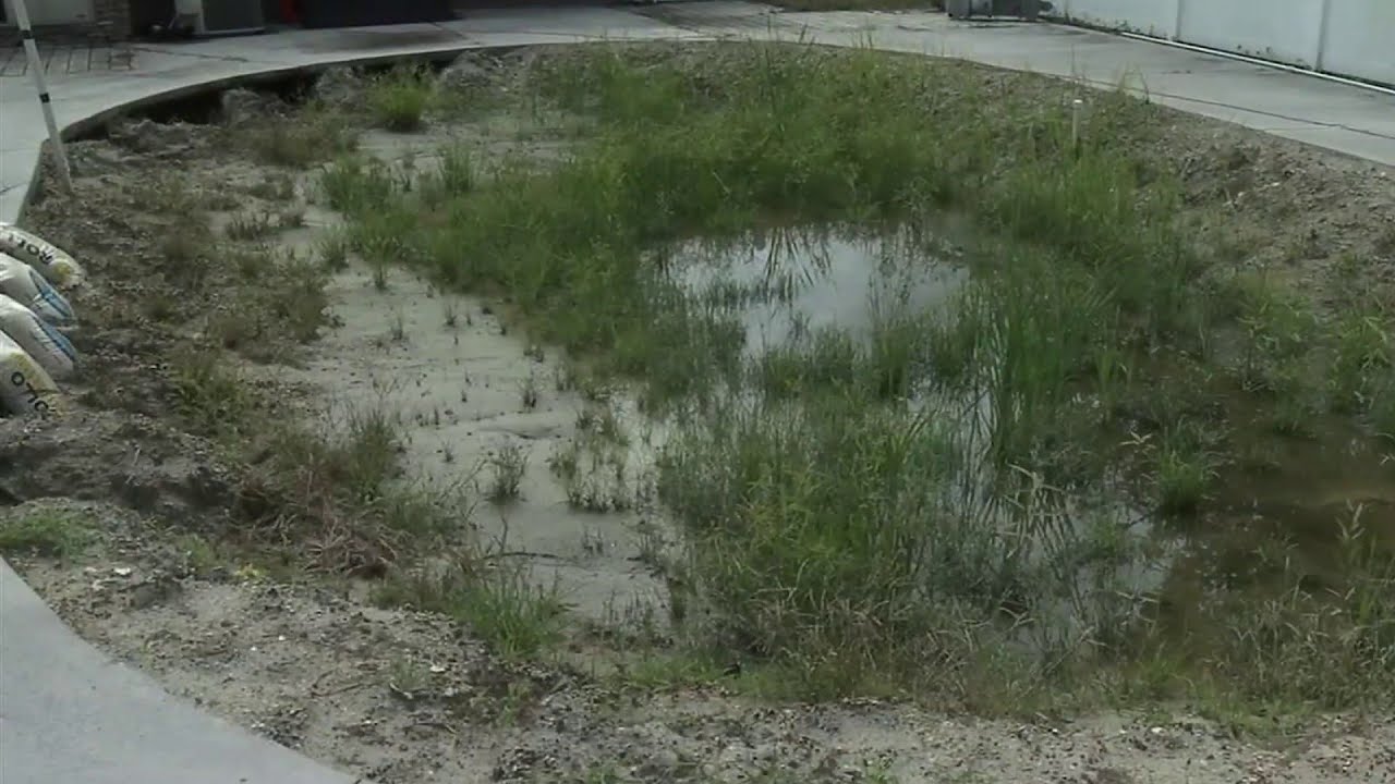 Two families say they gave a Jacksonville contractor $60K to build new pools in their backyards….