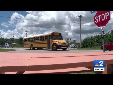 Thief steals protective lights from school bus stop in Lehigh Acres