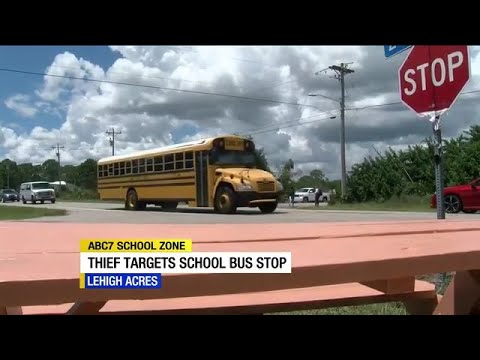 Thief steals protective lights from school bus stop in Lehigh Acres