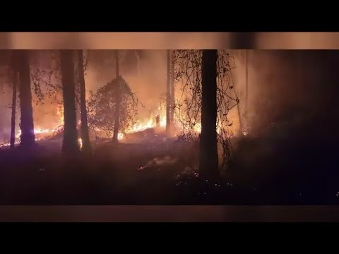 Multiple brush fires ignite in Lehigh Acres due to lightning strikes